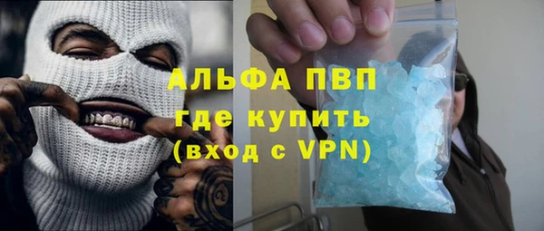 сатива Баксан