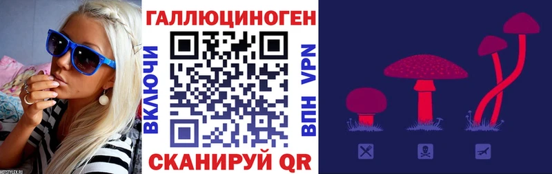 Купить  Кузнецк  Галлюциногенные грибы MAGIC MUSHROOMS 